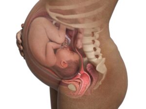 sobre Adiccion Correspondiente Sexo en el embarazo ¿puedo hacerlo sin problema? | Maternar