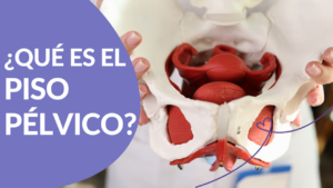 Blog piso pélvico