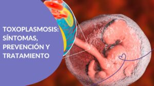 Toxoplasmosis en el embarazo Maternar.co